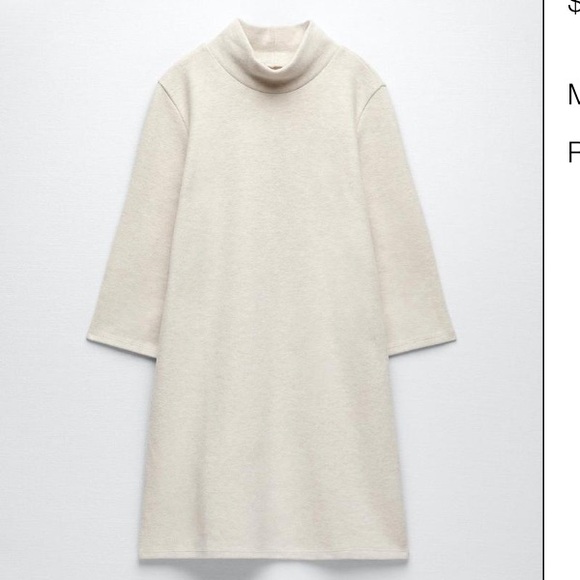 Zara OatmealMock Neck Sweater Dress - Picture 5 of 5